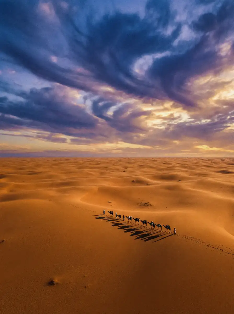 纪录片《丝路回响》 - 抖阳 项目